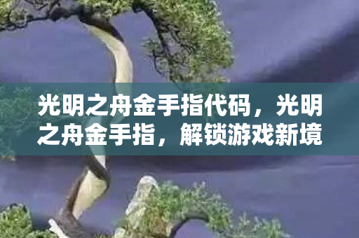 光明之舟金手指代码,光明之舟金手指,解锁游戏新境界的神奇工具 光明之舟金手指代码,光明之舟金手指,解锁游戏新境界的神奇工具