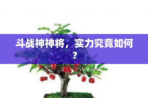 斗战神神将，实力究竟如何？
