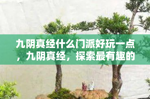 九阴真经什么门派好玩一点，九阴真经，探索最有趣的门派