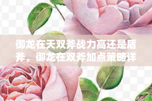 御龙在天双斧战力高还是盾斧，御龙在双斧加点策略详解