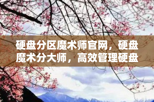 硬盘分区魔术师官网,硬盘魔术分大师,高效管理硬盘空间的利器 硬盘分区魔术师官网,硬盘魔术分大师,高效管理硬盘空间的利器