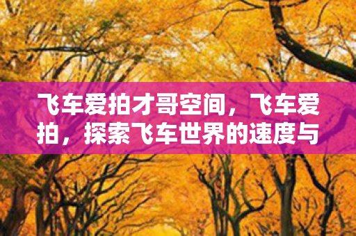 飞车爱拍才哥空间,飞车爱拍,探索飞车世界的速度与激情 飞车爱拍才哥空间,飞车爱拍,探索飞车世界的速度与激情