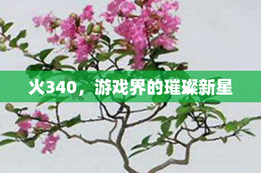 火340,游戏界的璀璨新星 火340,游戏界的璀璨新星