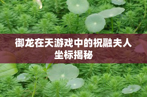 御龙在天游戏中的祝融夫人坐标揭秘 御龙在天游戏中的祝融夫人坐标揭秘