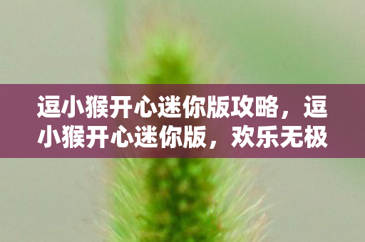 逗小猴开心迷你版攻略,逗小猴开心迷你版,欢乐无极限的冒险之旅 逗小猴开心迷你版攻略,逗小猴开心迷你版,欢乐无极限的冒险之旅