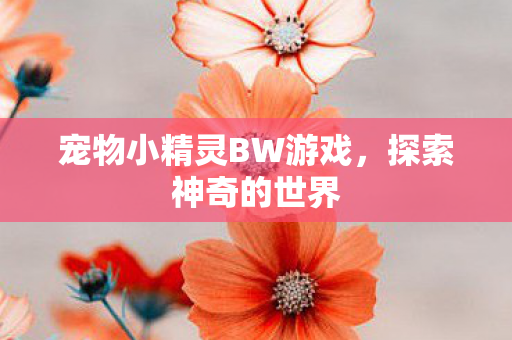 宠物小精灵BW游戏,探索神奇的世界 宠物小精灵BW游戏,探索神奇的世界