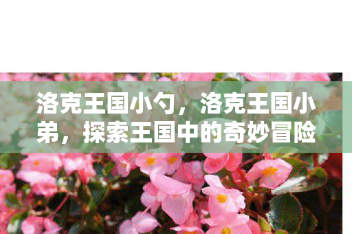 洛克王国小勺，洛克王国小弟，探索王国中的奇妙冒险