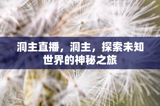 洞主直播,洞主,探索未知世界的神秘之旅 洞主直播,洞主,探索未知世界的神秘之旅