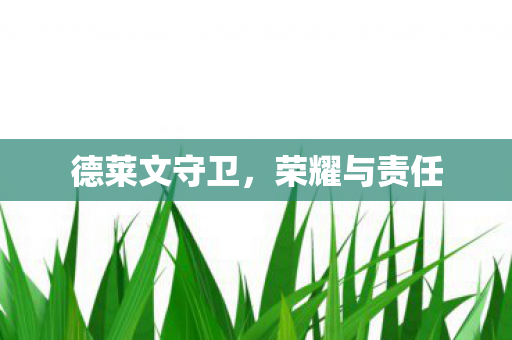 德莱文守卫，荣耀与责任