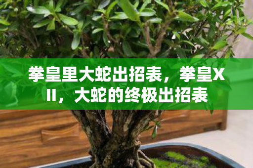 拳皇里大蛇出招表，拳皇XII，大蛇的终极出招表