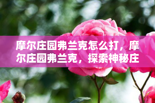 摩尔庄园弗兰克怎么打,摩尔庄园弗兰克,探索神秘庄园的奇妙之旅 摩尔庄园弗兰克怎么打,摩尔庄园弗兰克,探索神秘庄园的奇妙之旅