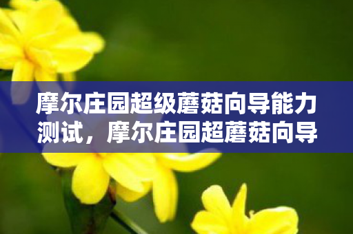 摩尔庄园超级蘑菇向导能力测试,摩尔庄园超蘑菇向导,探索神秘蘑菇王国的奇妙之旅 摩尔庄园超级蘑菇向导能力测试,摩尔庄园超蘑菇向导,探索神秘蘑菇王国的奇妙之旅