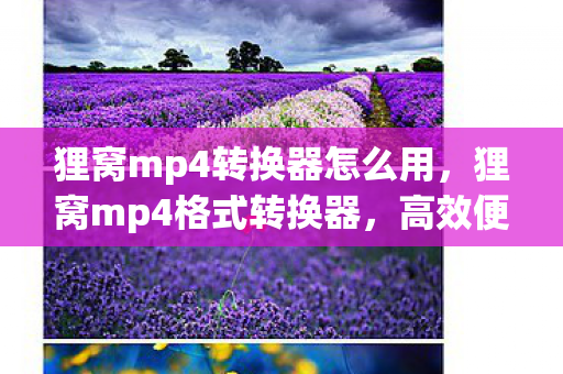 狸窝mp4转换器怎么用,狸窝mp4格式转换器,高效便捷的视频格式转换工具 狸窝mp4转换器怎么用,狸窝mp4格式转换器,高效便捷的视频格式转换工具