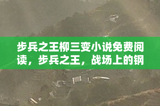 步兵之王柳三变小说免费阅读,步兵之王,战场上的钢铁洪流 步兵之王柳三变小说免费阅读,步兵之王,战场上的钢铁洪流