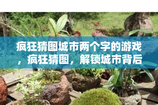 疯狂猜图城市两个字的游戏,疯狂猜图,解锁城市背后的神秘面纱 疯狂猜图城市两个字的游戏,疯狂猜图,解锁城市背后的神秘面纱