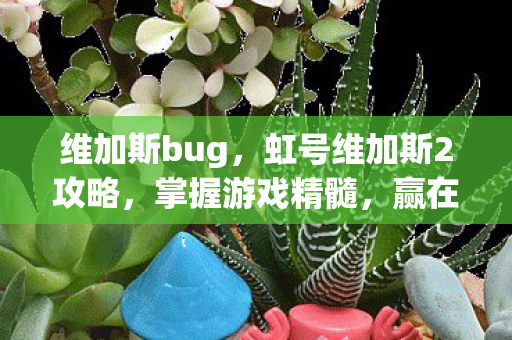 维加斯bug,虹号维加斯2攻略,掌握游戏精髓,赢在拉斯维加斯 维加斯bug,虹号维加斯2攻略,掌握游戏精髓,赢在拉斯维加斯