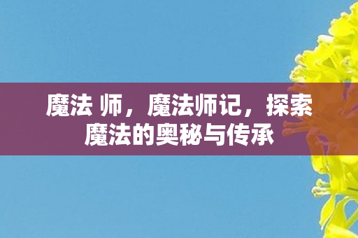 魔法 师,魔法师记,探索魔法的奥秘与传承 魔法 师,魔法师记,探索魔法的奥秘与传承