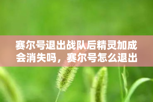 赛尔号退出战队后精灵加成会消失吗,赛尔号怎么退出战队 赛尔号退出战队后精灵加成会消失吗,赛尔号怎么退出战队
