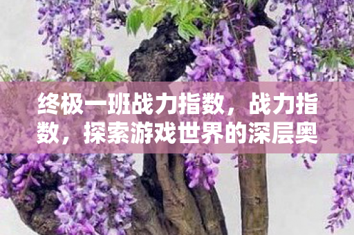终极一班战力指数,战力指数,探索游戏世界的深层奥秘 终极一班战力指数,战力指数,探索游戏世界的深层奥秘