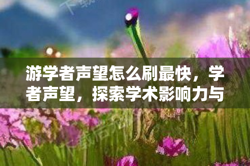 游学者声望怎么刷最快，学者声望，探索学术影响力与公众认知的桥梁