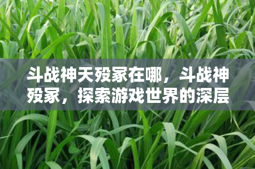 斗战神天殁冢在哪,斗战神殁冢,探索游戏世界的深层奥秘 斗战神天殁冢在哪,斗战神殁冢,探索游戏世界的深层奥秘