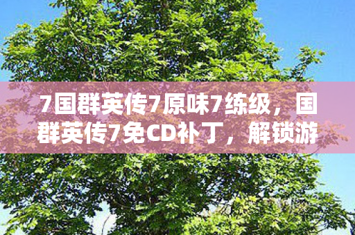 7国群英传7原味7练级,国群英传7免CD补丁,解锁游戏新体验 7国群英传7原味7练级,国群英传7免CD补丁,解锁游戏新体验