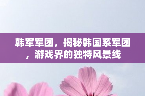 韩军军团,揭秘韩国系军团,游戏界的独特风景线 韩军军团,揭秘韩国系军团,游戏界的独特风景线
