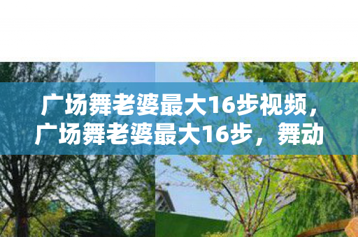 广场舞老婆最大16步视频,广场舞老婆最大16步,舞动生活的快乐旋律 广场舞老婆最大16步视频,广场舞老婆最大16步,舞动生活的快乐旋律
