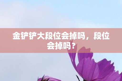 金铲铲大段位会掉吗,段位会掉吗? 金铲铲大段位会掉吗,段位会掉吗?