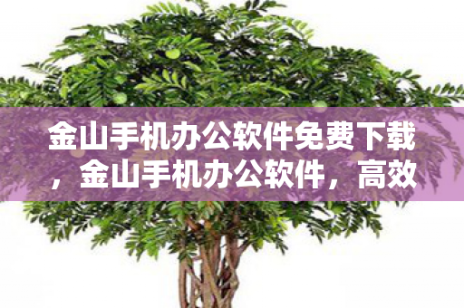 金山手机办公软件免费下载,金山手机办公软件,高效便捷的移动办公新体验 金山手机办公软件免费下载,金山手机办公软件,高效便捷的移动办公新体验