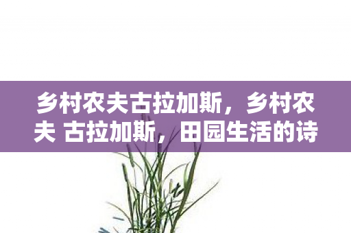 乡村农夫古拉加斯,乡村农夫 古拉加斯,田园生活的诗意与坚守 乡村农夫古拉加斯,乡村农夫 古拉加斯,田园生活的诗意与坚守