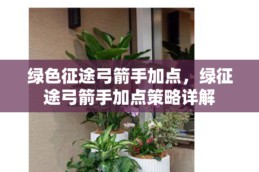 绿色征途弓箭手加点,绿征途弓箭手加点策略详解 绿色征途弓箭手加点,绿征途弓箭手加点策略详解