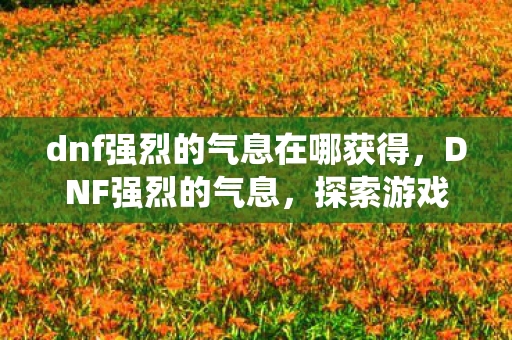 dnf强烈的气息在哪获得,DNF强烈的气息,探索游戏内经济系统的奥秘 dnf强烈的气息在哪获得,DNF强烈的气息,探索游戏内经济系统的奥秘