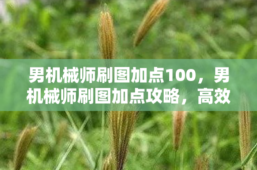 男机械师刷图加点100,男机械师刷图加点攻略,高效输出与生存平衡 男机械师刷图加点100,男机械师刷图加点攻略,高效输出与生存平衡