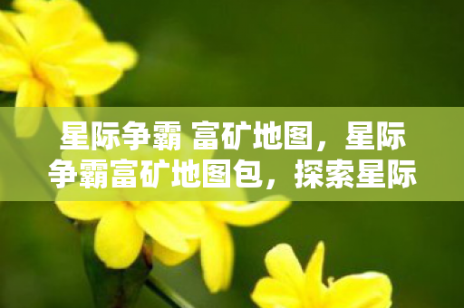 星际争霸 富矿地图，星际争霸富矿地图包，探索星际世界的无尽宝藏
