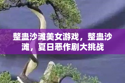 整蛊沙滩美女游戏，整蛊沙滩，夏日恶作剧大挑战