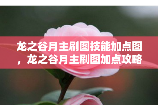 龙之谷月主刷图技能加点图,龙之谷月主刷图加点攻略 龙之谷月主刷图技能加点图,龙之谷月主刷图加点攻略