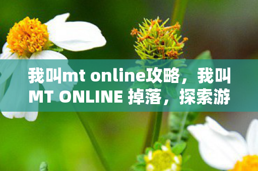 我叫mt online攻略,我叫MT ONLINE 掉落,探索游戏中的珍贵宝藏 我叫mt online攻略,我叫MT ONLINE 掉落,探索游戏中的珍贵宝藏