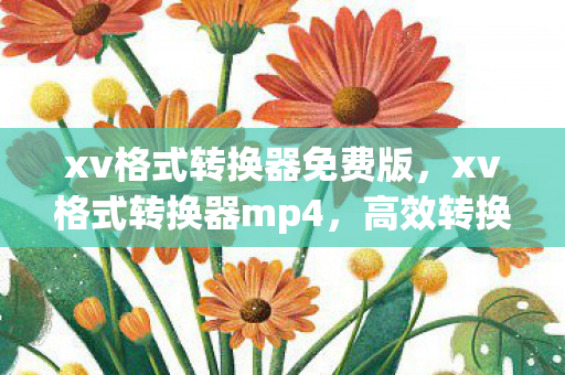 xv格式转换器免费版，xv格式转换器mp4，高效转换，尽享高清视频体验