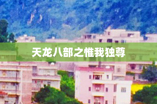 天龙八部之惟我独尊 天龙八部之惟我独尊