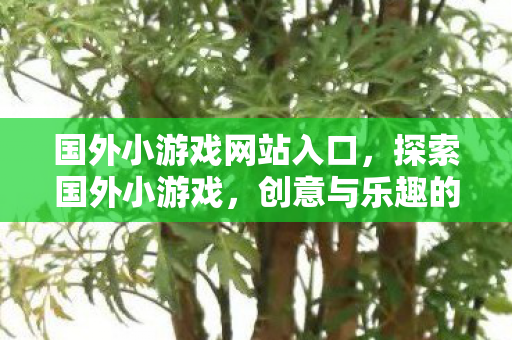 国外小游戏网站入口,探索国外小游戏,创意与乐趣的无限延伸 国外小游戏网站入口,探索国外小游戏,创意与乐趣的无限延伸