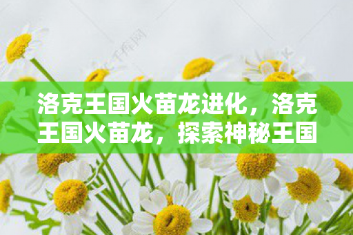 洛克王国火苗龙进化，洛克王国火苗龙，探索神秘王国的奇幻之旅