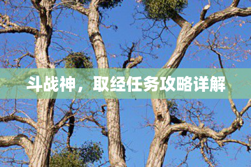 斗战神,取经任务攻略详解 斗战神,取经任务攻略详解