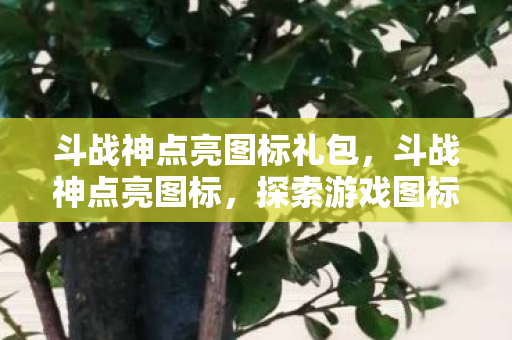 斗战神点亮图标礼包，斗战神点亮图标，探索游戏图标背后的故事与意义