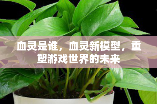血灵是谁，血灵新模型，重塑游戏世界的未来