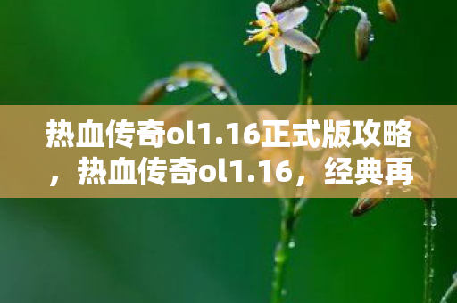 热血传奇ol1.16正式版攻略，热血传奇ol1.16，经典再现，情怀不灭