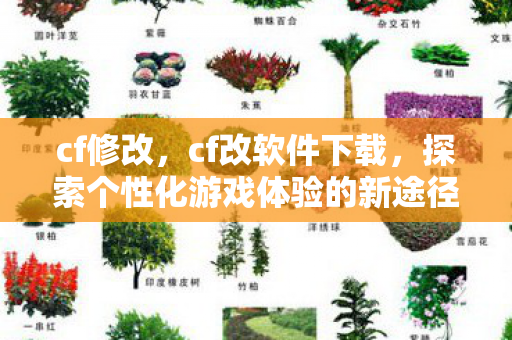 cf修改,cf改软件下载,探索个性化游戏体验的新途径 cf修改,cf改软件下载,探索个性化游戏体验的新途径