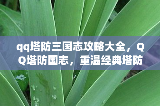 qq塔防三国志攻略大全,QQ塔防国志,重温经典塔防的传奇之旅 qq塔防三国志攻略大全,QQ塔防国志,重温经典塔防的传奇之旅