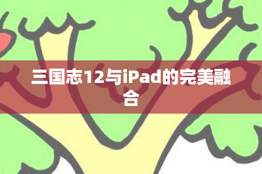 三国志12与iPad的完美融合 三国志12与iPad的完美融合