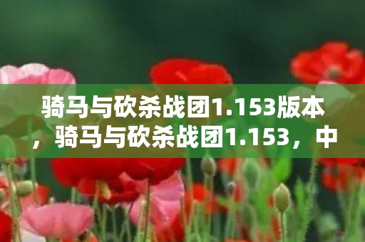 骑马与砍杀战团1.153版本,骑马与砍杀战团1.153,中世纪战场的真实再现 骑马与砍杀战团1.153版本,骑马与砍杀战团1.153,中世纪战场的真实再现